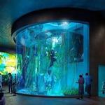 Gran Acuario Mazatlán "Mar de Cortés"