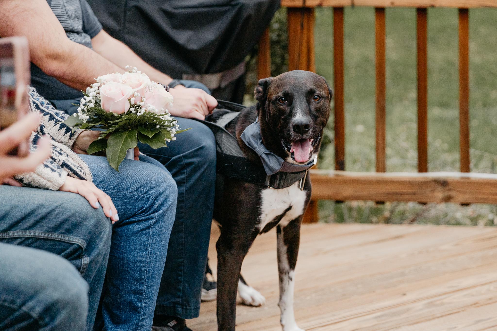 The Wedding Website of Megan Rose and Brian Rose