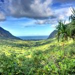 Jurrassic Park Tour - Kualoa Ranch