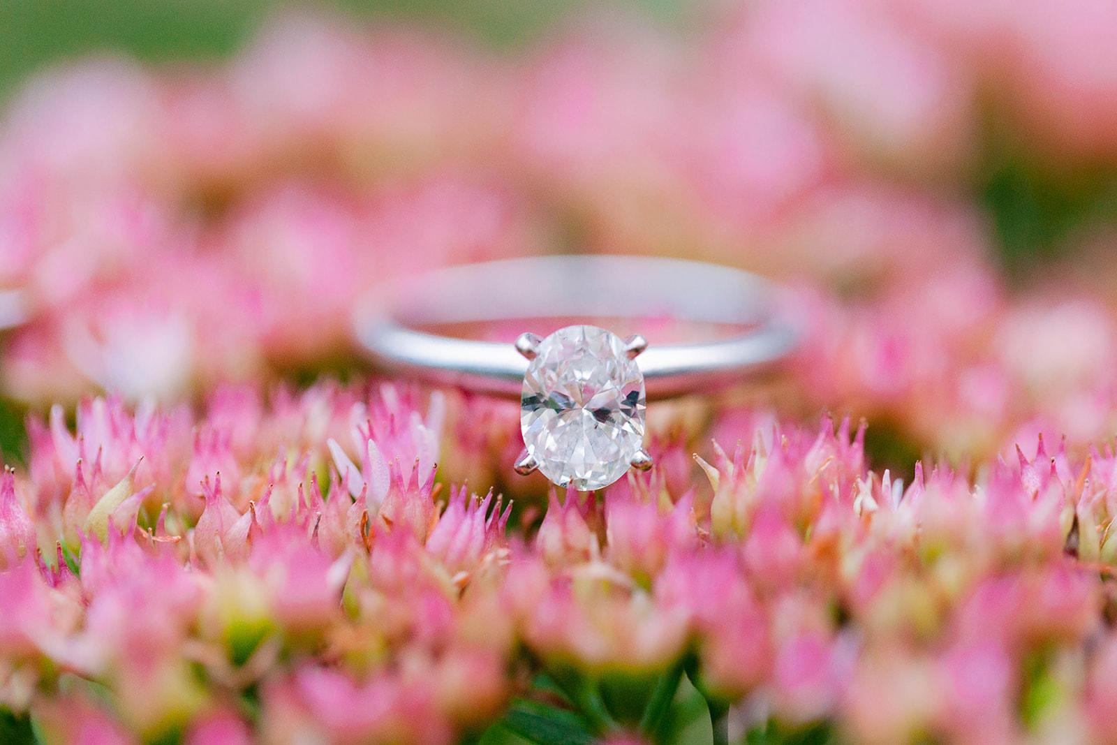 The Wedding Website of Ruth Collins and Brandon Dalton