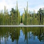 Jardín Etnobotánico de Oaxaca