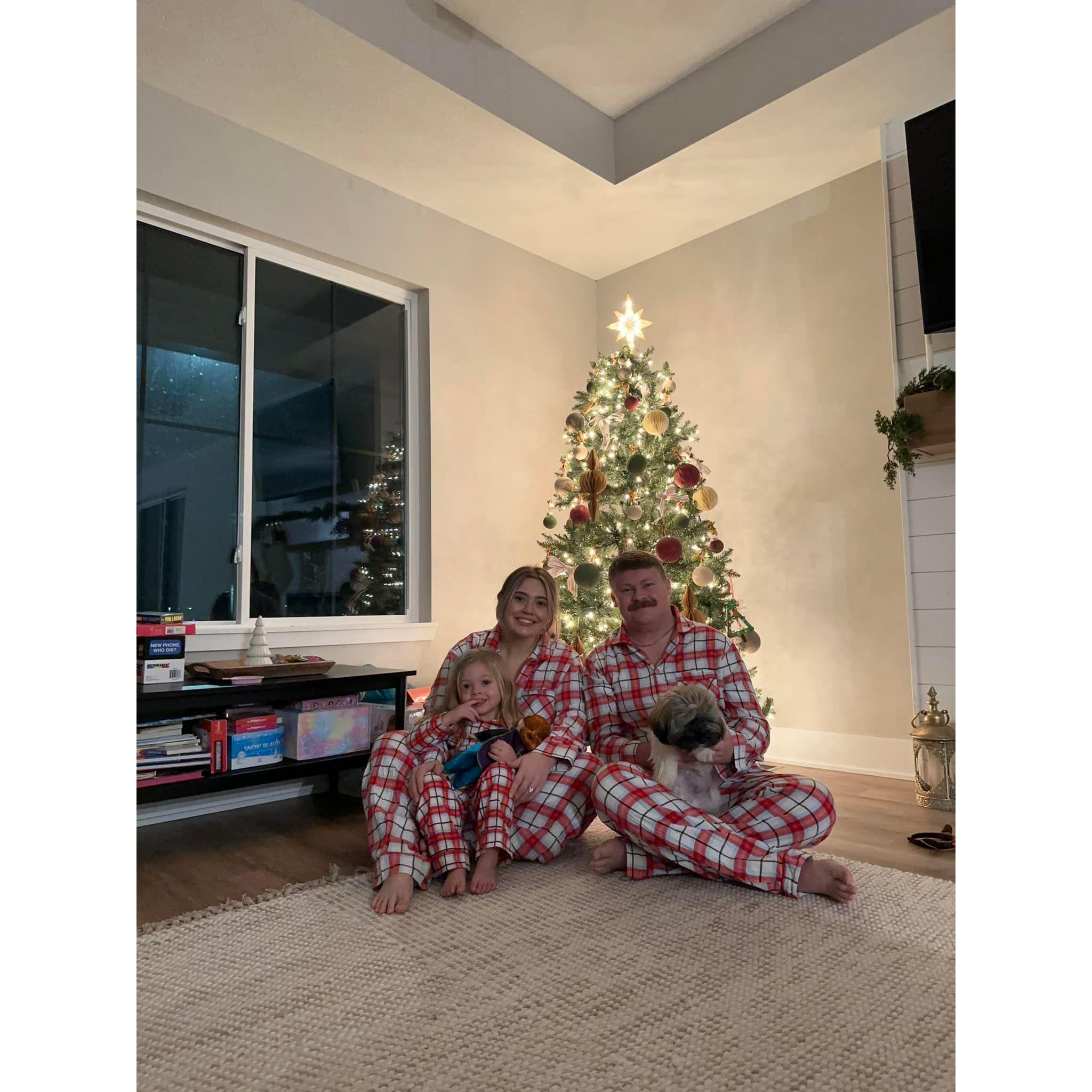 first christmas in our new home