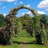 Elizabeth Park Rose Garden