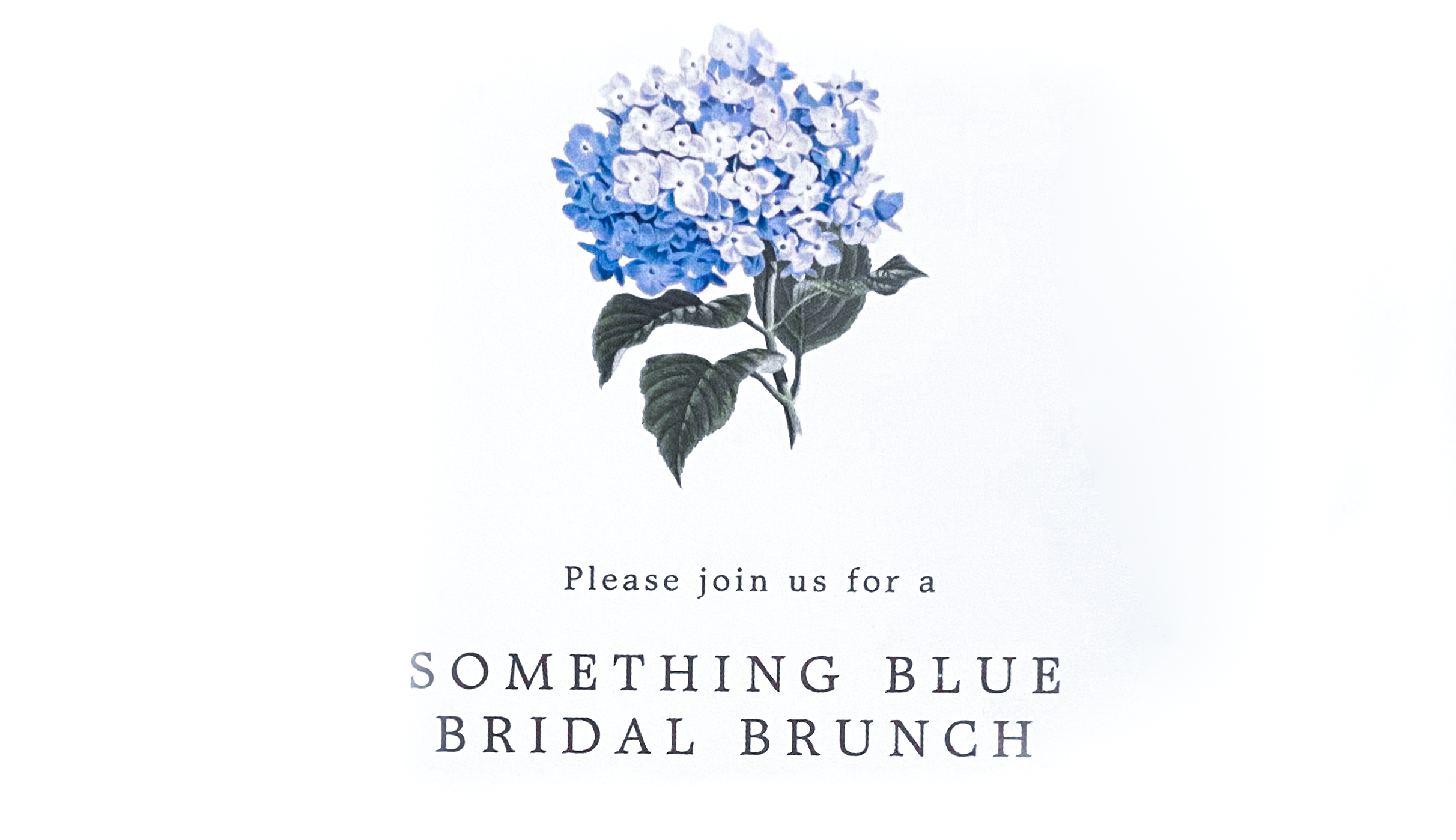 The Wedding Website of Camryn Murphy and Joseph Lietzow