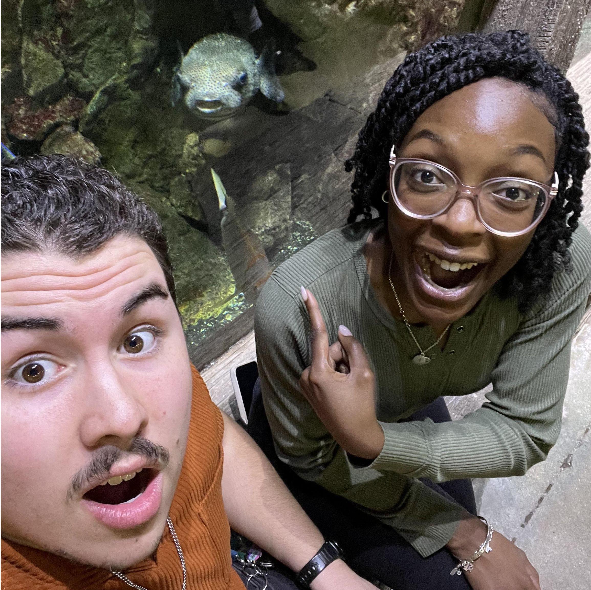Pufferfish