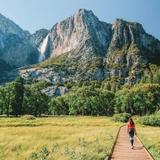 Cook's Meadow Loop