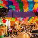 Calle Alvaro Obregon