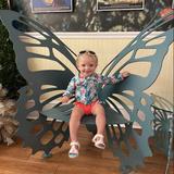 The Key West Butterfly and Nature Conservatory