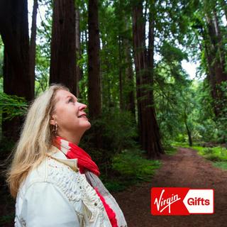 Muir Woods Tour for 2 - San Francisco