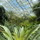 Foellinger-Freimann Botanical Conservatory