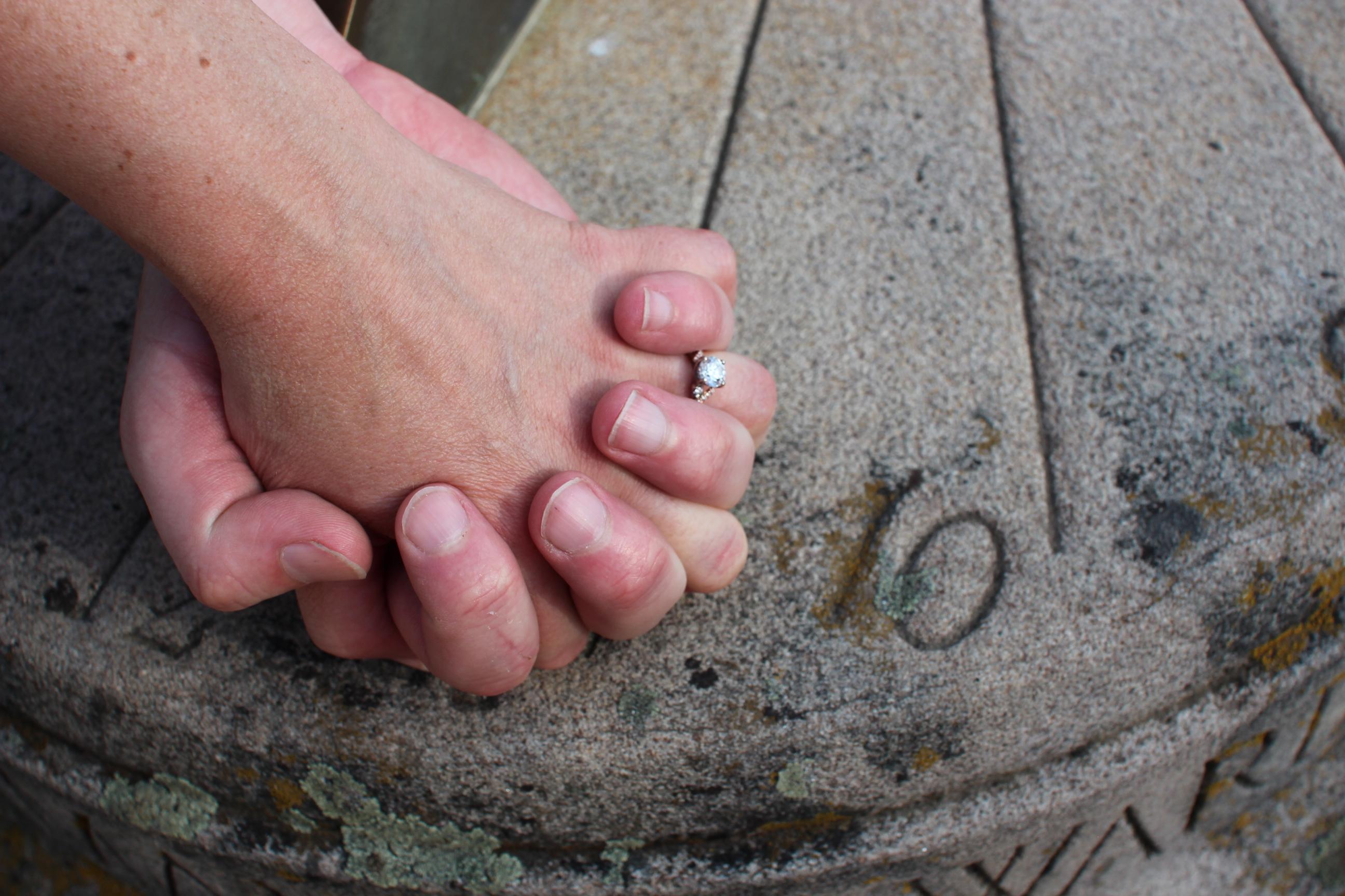 The Wedding Website of Lachelle Bowman and Dan Eigler