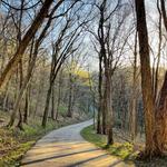 Percy Warner Park (Belle Meade)
