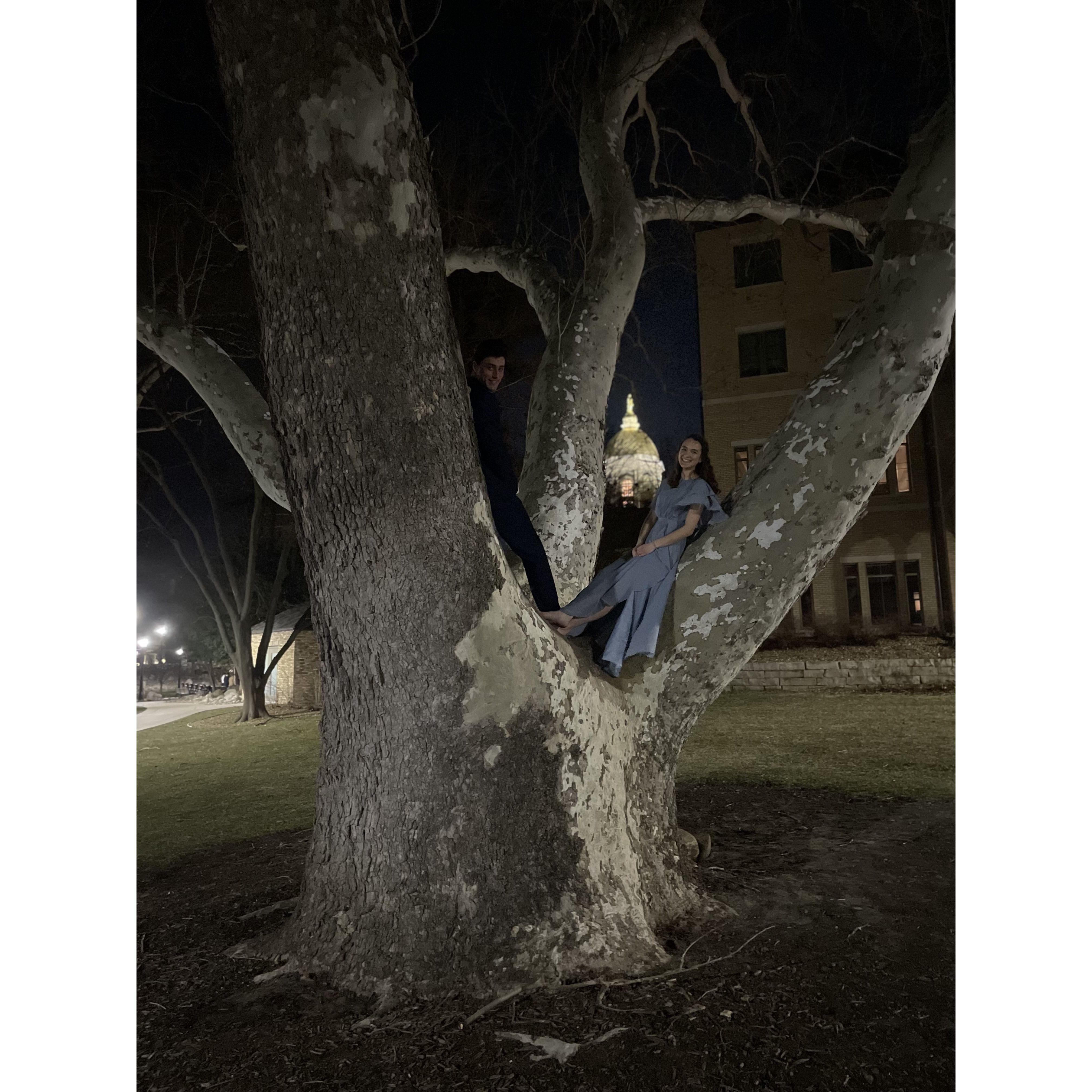 First attempt at retaking the tree picture