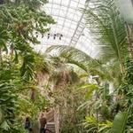 Myriad Botanical Gardens