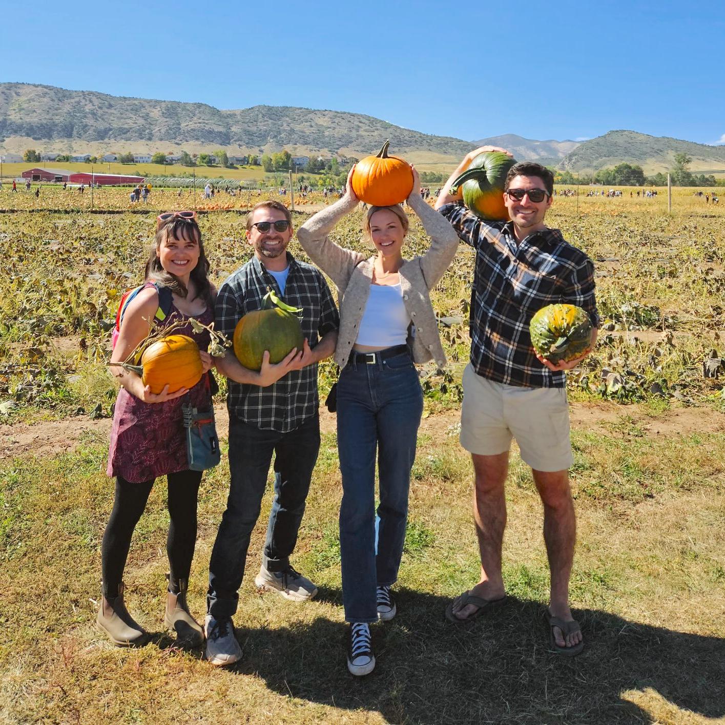 Annual pumpkin patch and corn maze (2023)