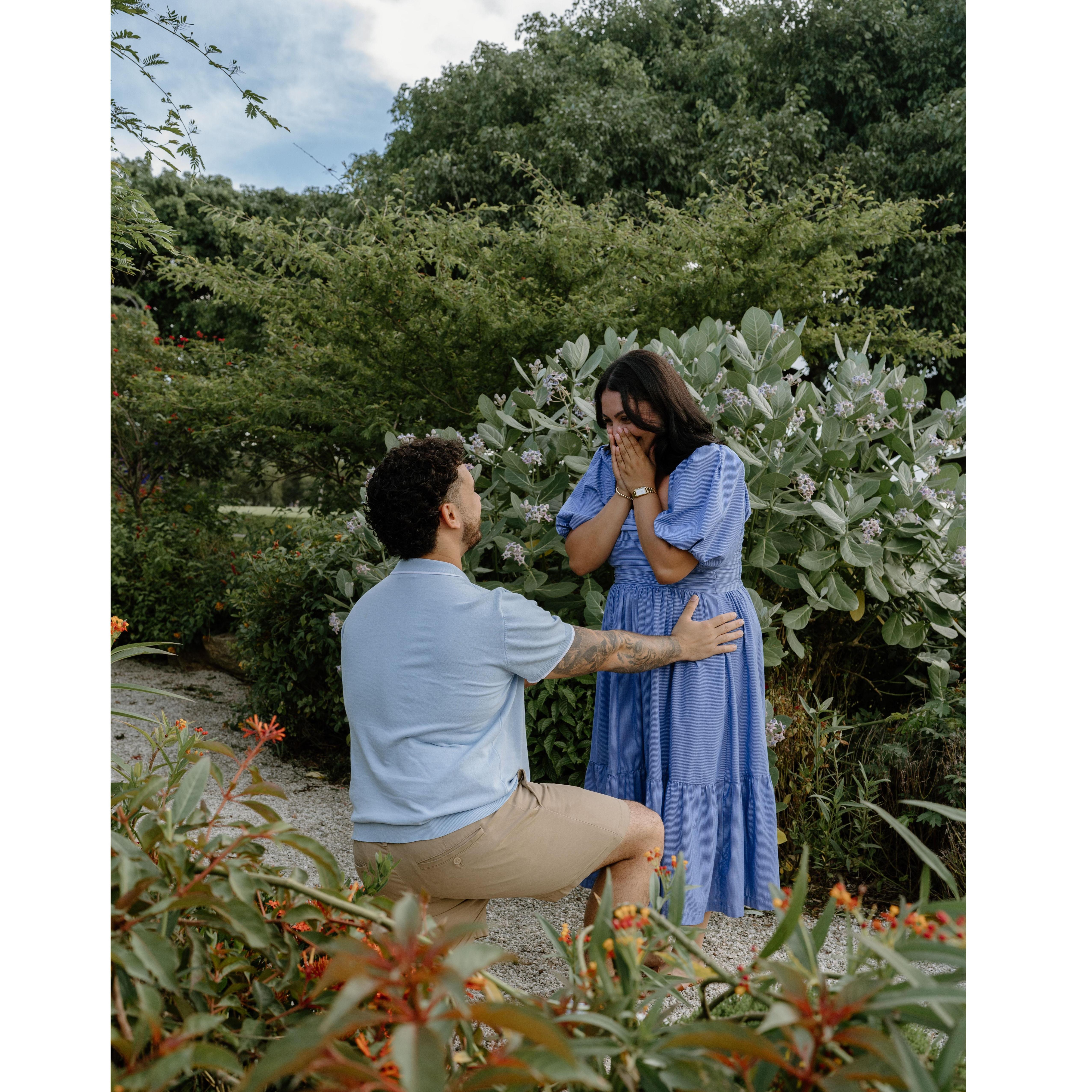 proposal