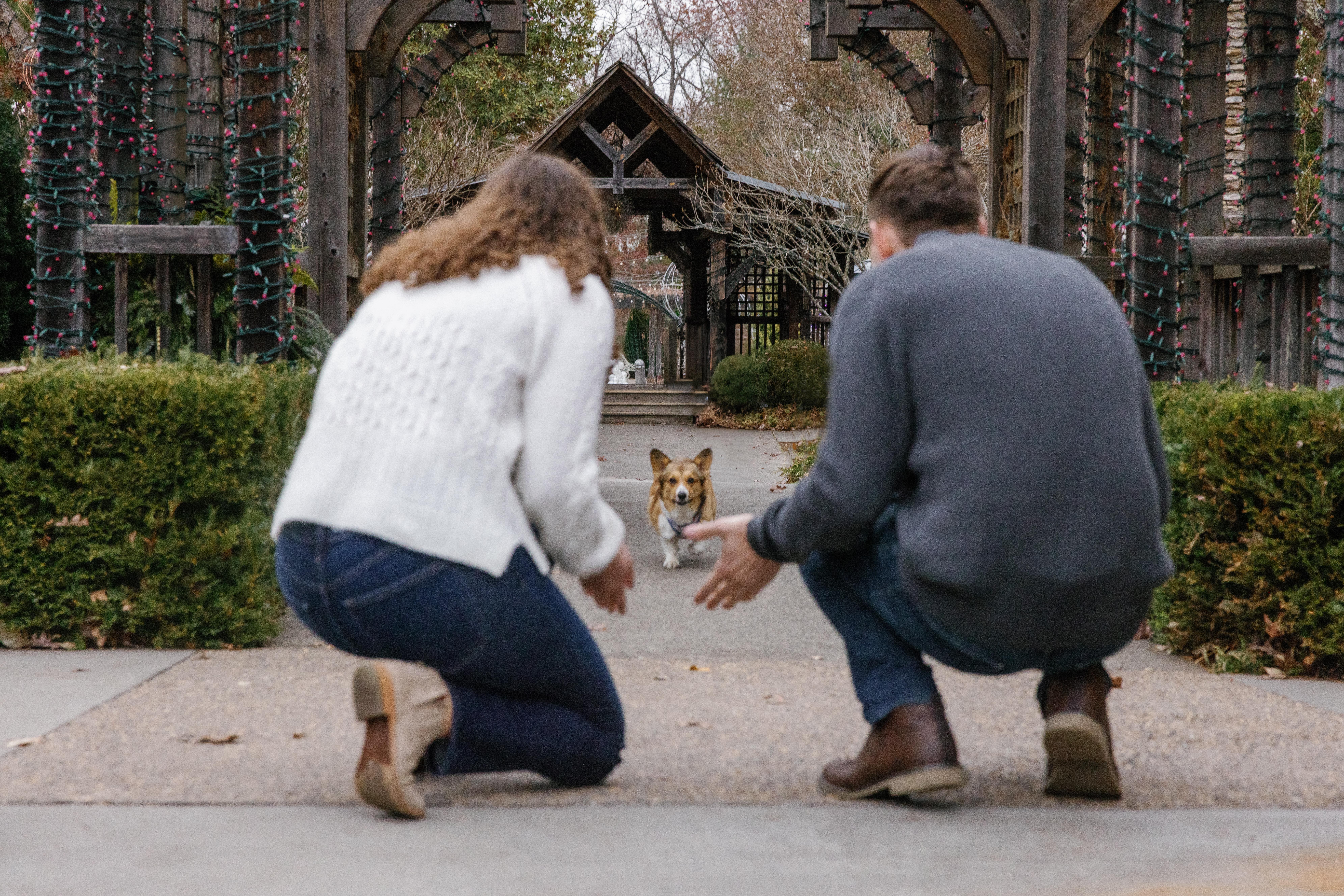 The Wedding Website of Molly Petersen and Ross Maksymetz