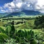 El Yunque National Forest