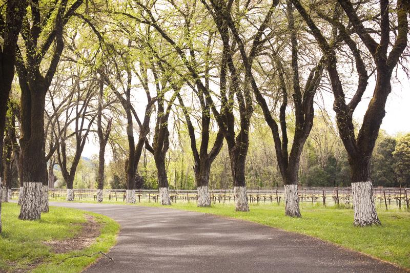 The Wedding Website of Morgan Cronin and Dan Goldman