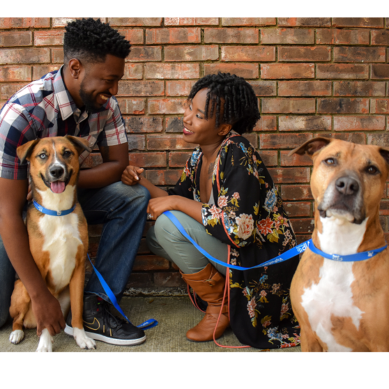 Anyone who knows us, knows our dogs are our babies. We couldn't leave them out of our love story