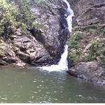 Guarne