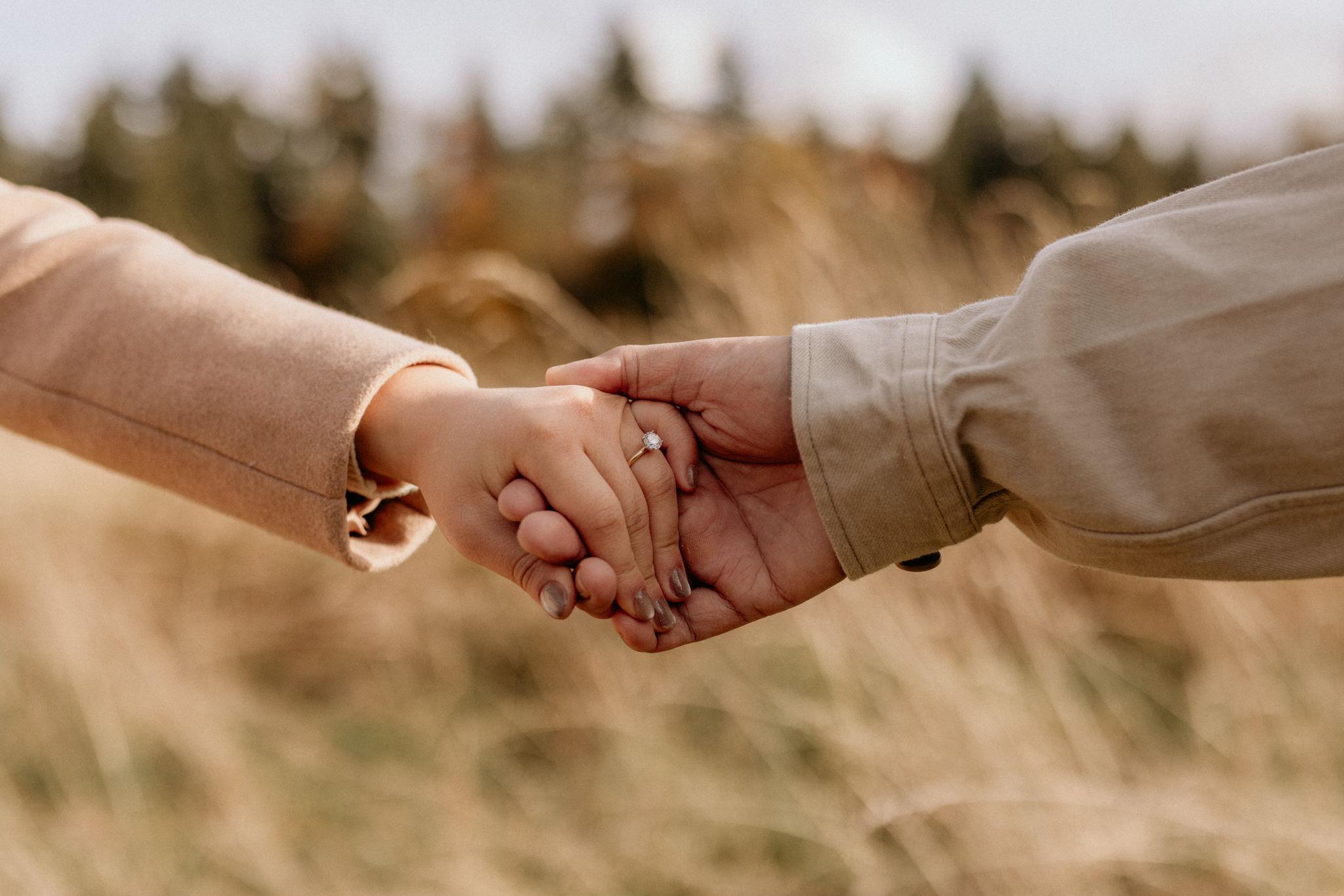 The Wedding Website of Lucy Qiu and Bryan Pham