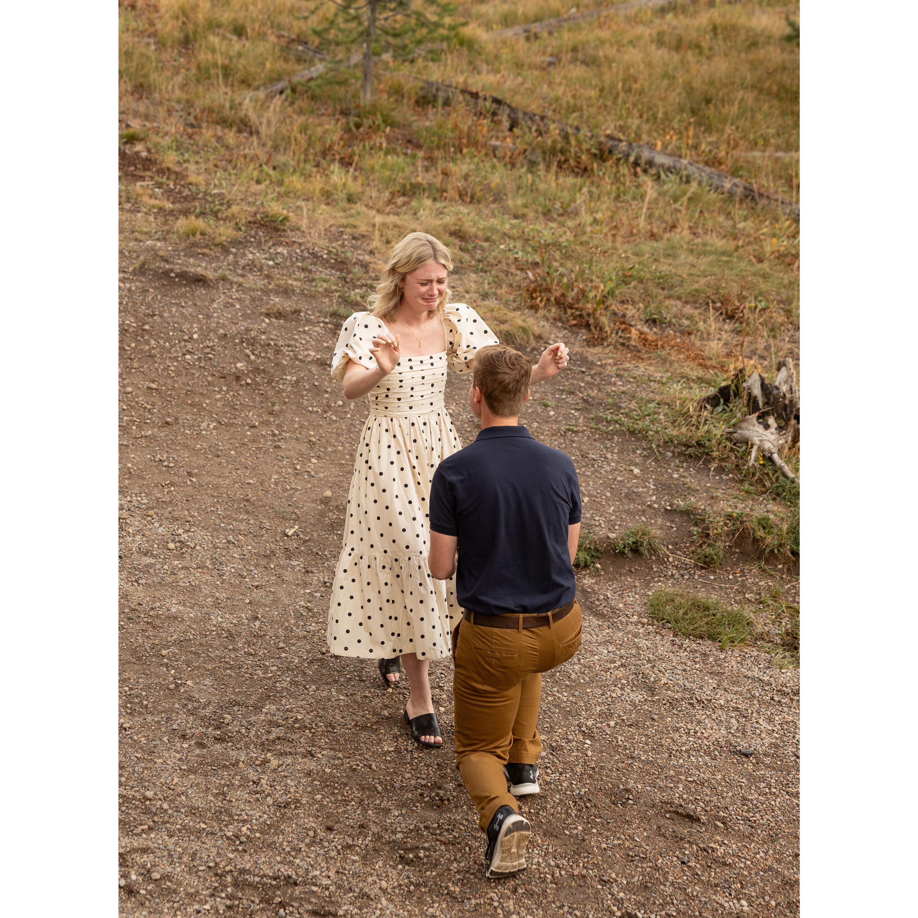 Engagement in Grand Tetons, September 2024