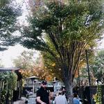 Griffin Claw Brewing Company