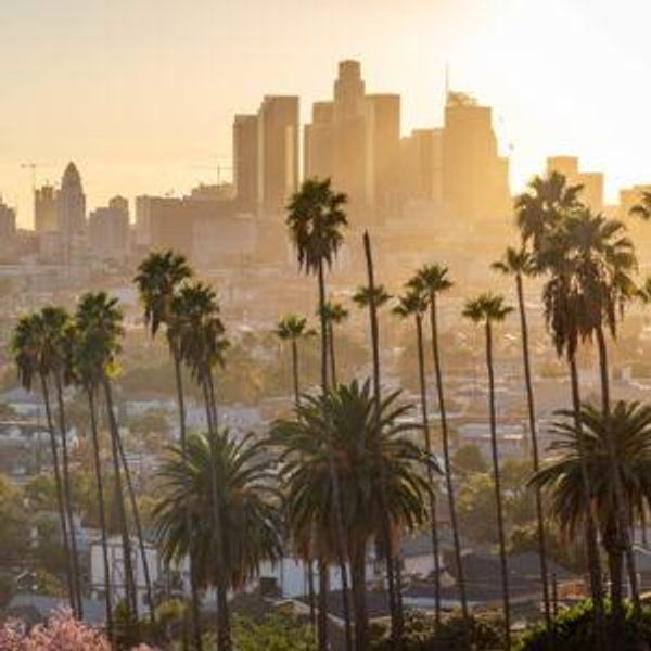 Moving to LA fund (cards)