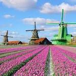 Windmills and stuff at Zaanse Schans