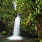 El Yunque Rainforest