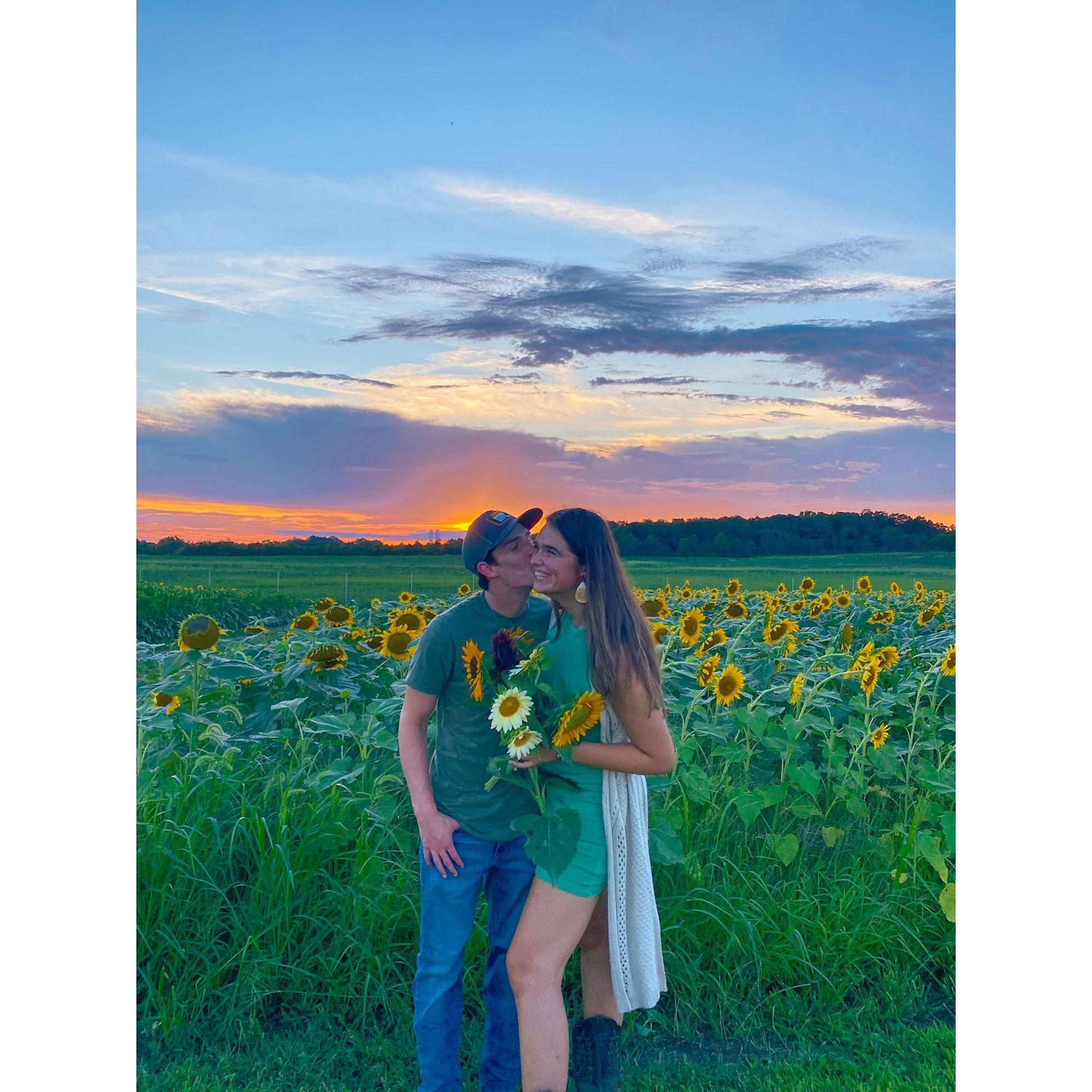First time at the sunflower fields