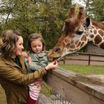 Wildwood Wildlife Park Zoo & Safari