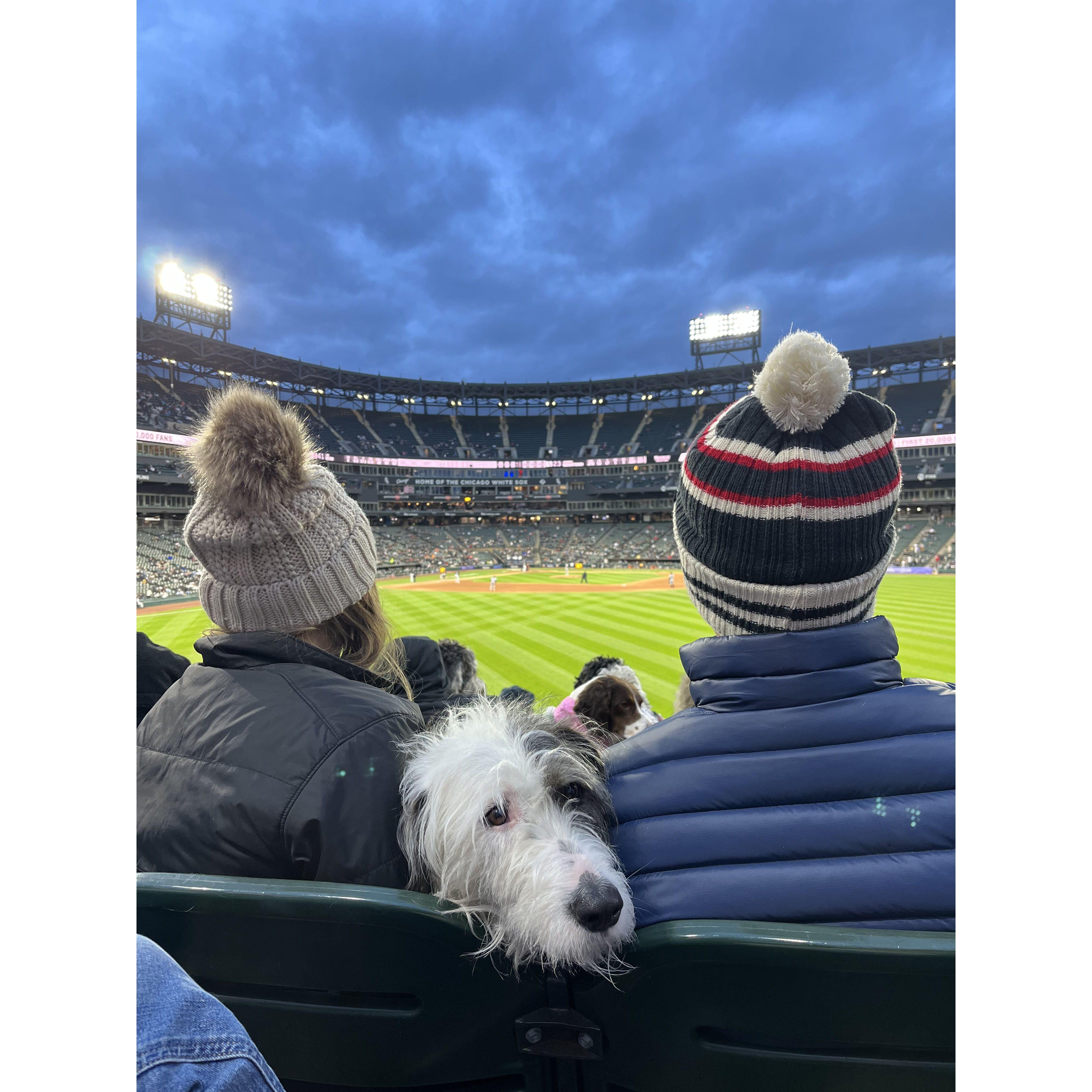 Moo's 1st Baseball Game | May 2023