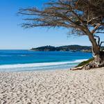 Carmel Beach