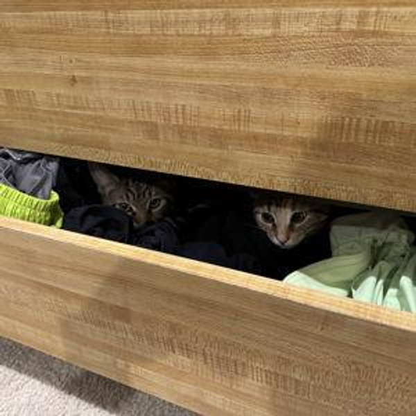 Fireproof Safe