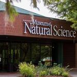 Mississippi Museum of Natural Science and Children's Museum