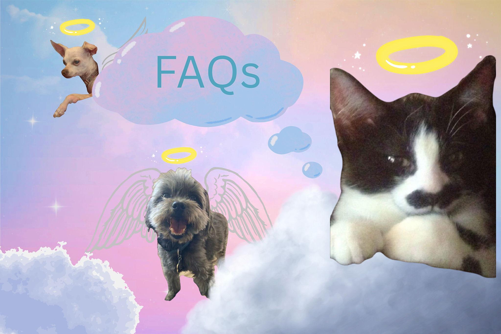 The Wedding Website of Julie Alves and David Blake