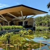 Marie Selby Botanical Gardens Downtown Sarasota