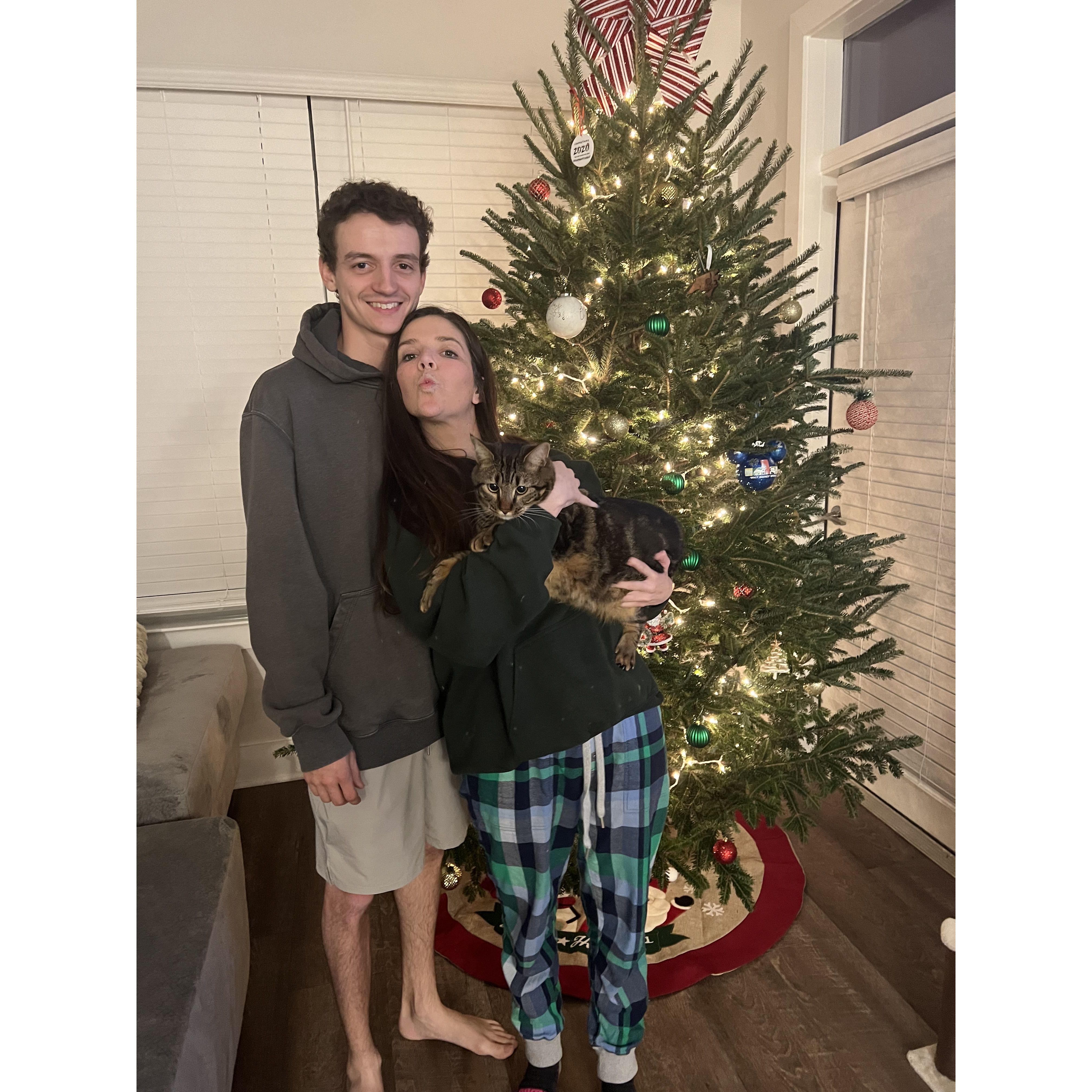 Our first Christmas tree as an engaged couple!