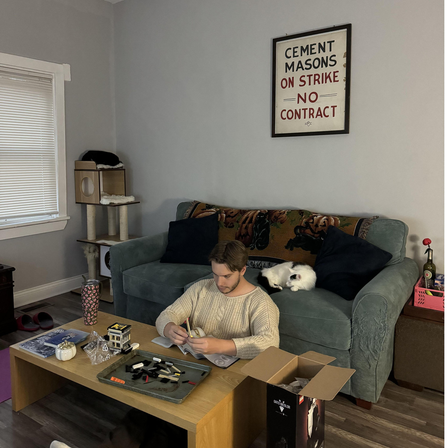 Building a lego tuxedo cat in our living room while the cats nap