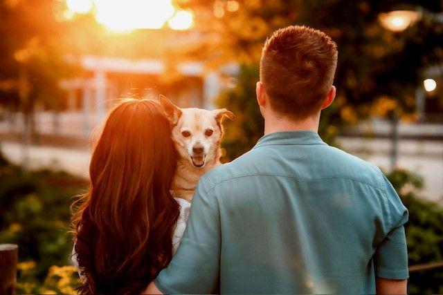 The Wedding Website of Annie Schmitt and Patrick Mullowney