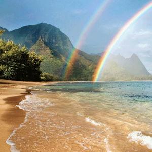 Hawaii Elopement & Honeymoon Fund