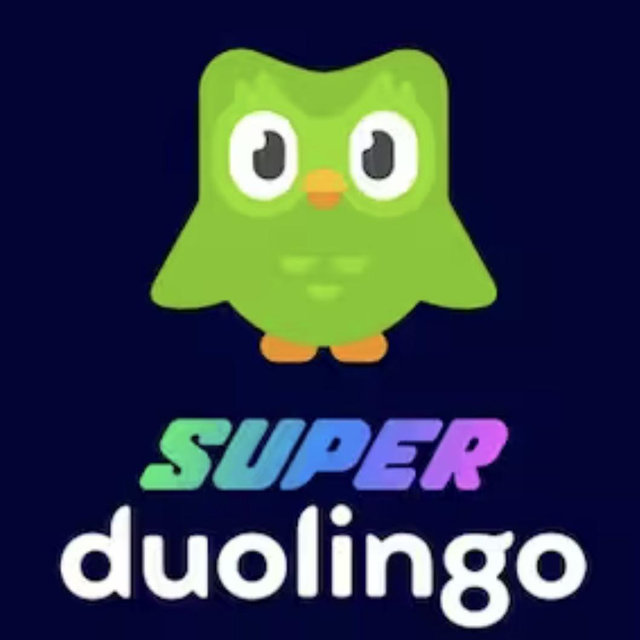 Subscription to Duolingo