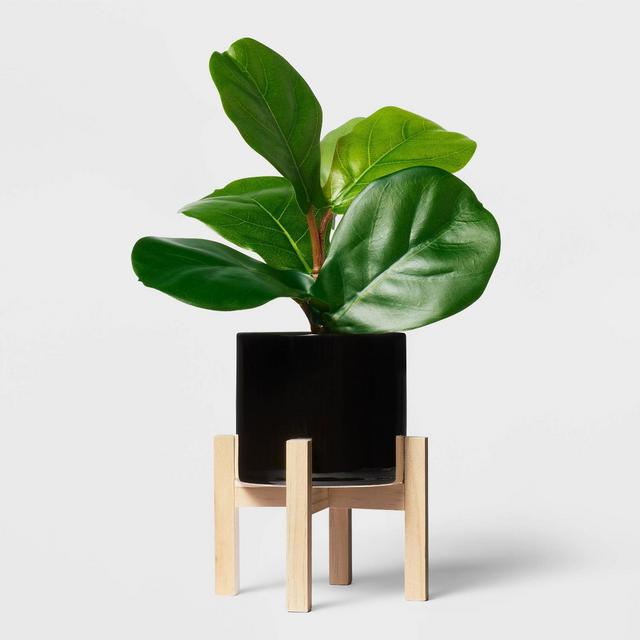 8" Fiddle Leaf Arrangement - Threshold™