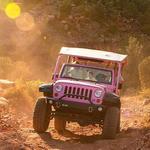 Pink Jeep Tours