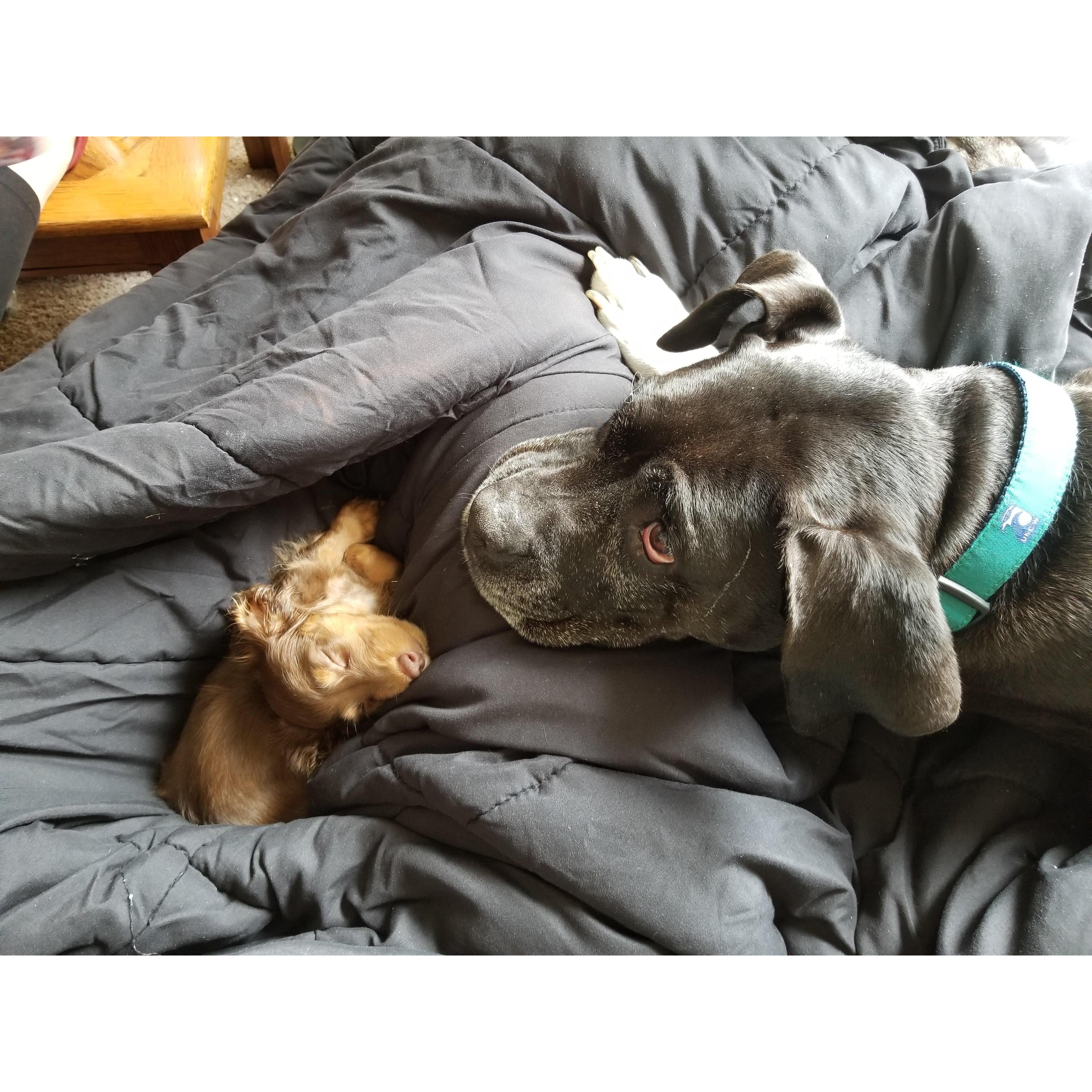 Rosa meets little Emma!