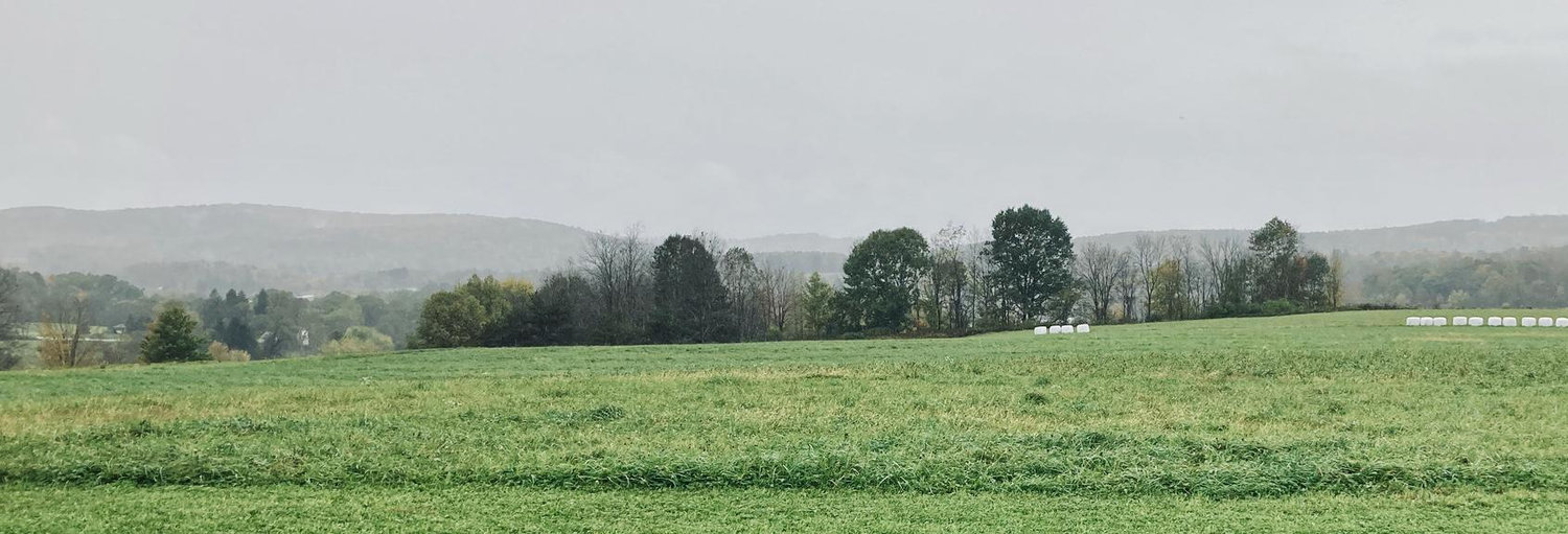 The Wedding Website of Christina Muscatello and Christopher Bodnarczuk