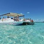 Island Dream Tours (YOLO)