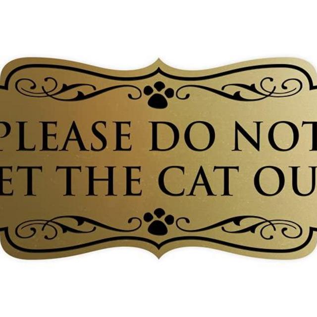 Designer Paws, Please Do Not Let the Cat Out Sign (Brushed Gold) - Medium